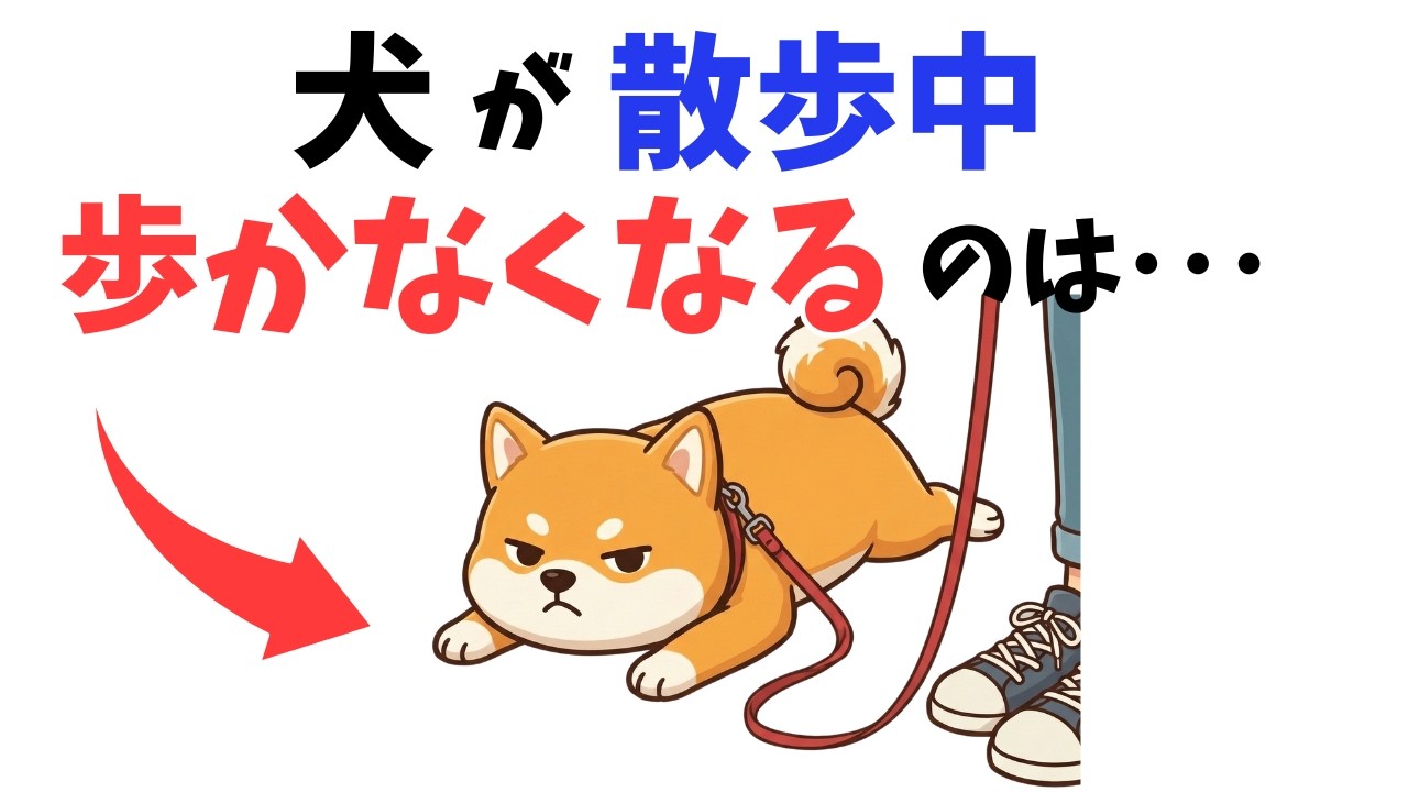 【9割は知らない】犬の散歩の真実7選