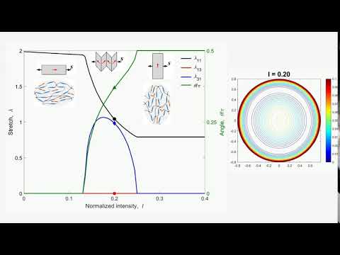 photomechanical coupling in photoactive nematic elastomers