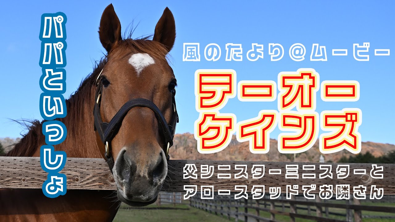 風のたより＠ムービー】チャンピオンズC優勝馬テーオーケインズの最新 