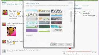 Windows Live Essentials 2011.avi