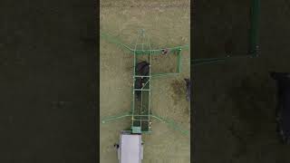 ULTIMATE Cattle Flow with the Heeler Portable Corral | Arrowquip ULTIMATE Cattle Flow with the Heeler Portable Corral | Arrowquip