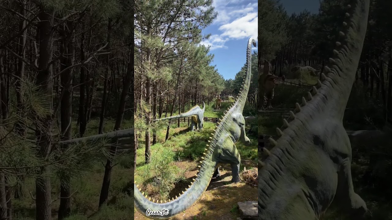 Diplodocus @dinoparquelourinha9481, 