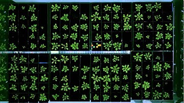 Sharp segmentation from timestreamlib