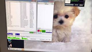 Karaoke Roxbox Tutorial