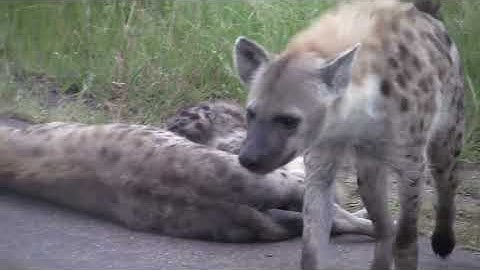 2013 za video clip 05 movie