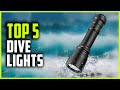 Best Dive Lights 2021 | Top 5 Scuba Dive Lights