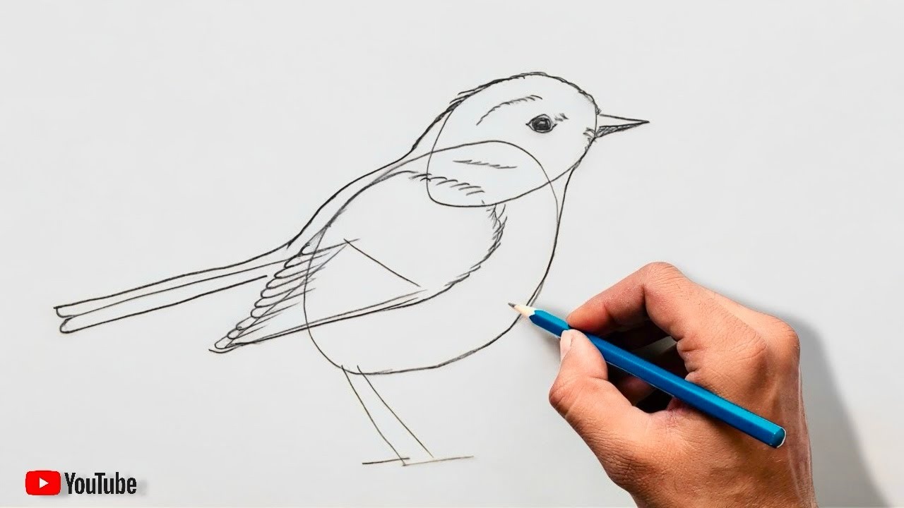 How to draw a bird using circle’s , sparrow bird drawing easy method