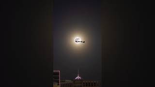 Moon Wishes You A Merry Christmas