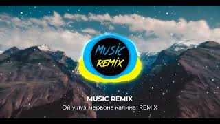 Ой у лузі червона калина (KARMV REMIX) - Андрій Хливнюк | Ukrainian patriotic folk song