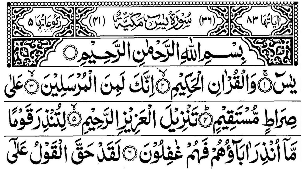 Surat yaseen|Yasin surah beautiful arabic|Episode 0011|Quran recitation ...