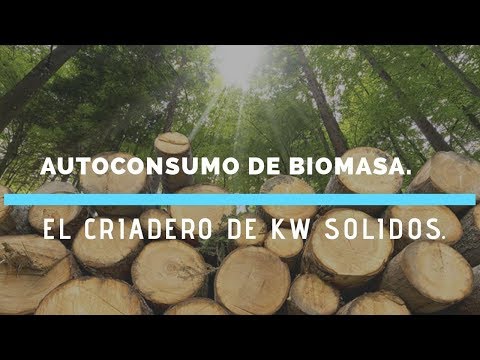 OFFGRIDERTV-Biomass Self-Consumption | Grow Your Own Energy-Jose Luis Tejero