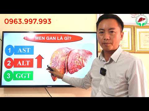 Video Men Gan Là Gì - Các Chỉ Số Của Men Gan | GAN A SÚA - youtube