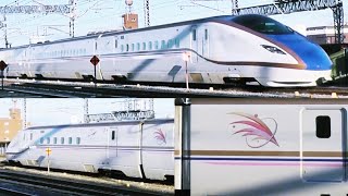 さよなら | 期間限定 | 上越新幹線 E7系 とき色 | JR East Joetsu Shinkansen E7 Series - Bullet Train in Japan 2020