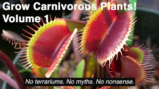 Grow Carnivorous Plants! Volume 1  Venus Flytraps, Sarracenia, and Other Cold Hardy Plants