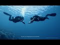 Huawei Ecosystem Montage - HarmonyOS