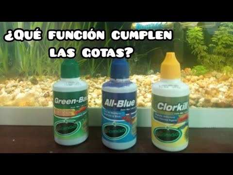Para que sirven las GOTAS AZULES en la PECERA hqdefault
