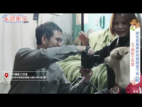 當快門遇見愛：寵物攝影師Jeff 與毛孩們的十年溫情故事 #JBT攝影工作室 #毛起來玩