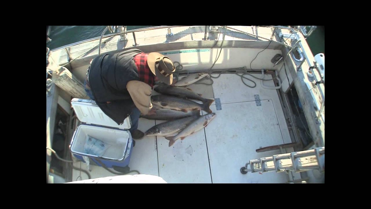 Catching Lake Trout broadcasting Herring Fart sounds with underwater