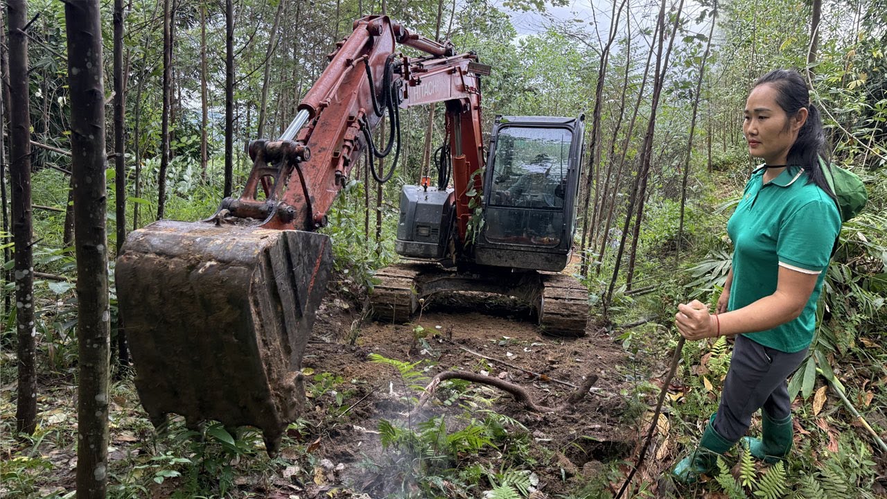 CEO Girl Leaves The City for The Forest Build Farm: Lead the excavator open new road up the mountain