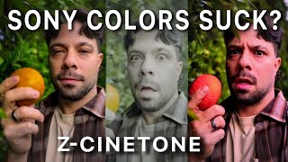 BEST Picture Profiles SONY! Cinetone for Sony A7C & ZV1