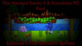The Hacked Sonic 3 & Knuckles PC Port - Episode 1: The Sentient Sprites