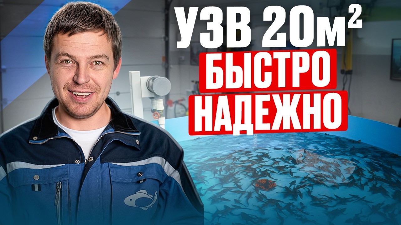 Как БЫСТРО сделать мини УЗВ у себя в ГАРАЖЕ и сколько это стоит? Пошаговый план разведения рыбы дома