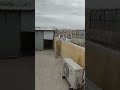 اصحى يا عمار ابو الوفاع الليله العشا كرشات وابو ايهم تبعك بحكي انوصاد الدباني امشي 