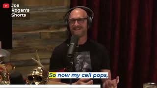 Download Lagu Joe Rogan on the skinheads experience MP3