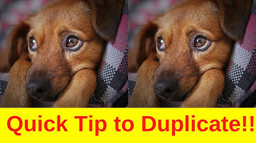 Simple Way to Duplicate Pages in Your Bubble.io No Code Web Apps