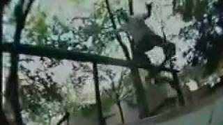 Kerry Getz - Jump Off A Building & Kerry Getz Busy 1998