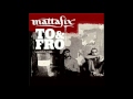 To and fro de mattafix feat diziz la peste en 2007