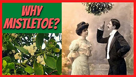 What the deal with Mistletoe?