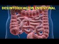 COMO RESTABLECER LA SALUD CON HIGIENE INTESTINAL Y DESINTOXICACIÓN DEL COLON