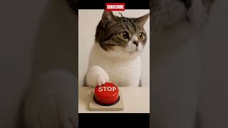 Shocking Will She Press The Button? Impactante Va A Presionar El Botón?