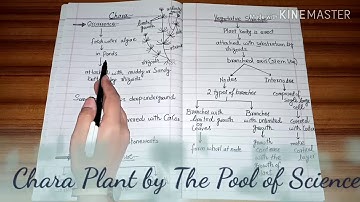 Chara ( occurrence and general structure) by The Pool of Science