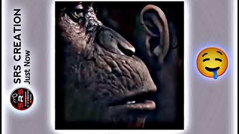 Ajke Amar Mon Valo Nai Status Video//New WhatsApp Status Video 🤣