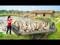 TIMELAPSE -- GIANT DUCK HARVEST -- Transporting with My 3-Wheeled Truck to Market SELL