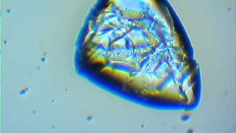 sugar dissolves in water by microscope