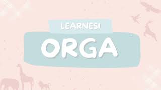 Ogra - Conseils Résumé