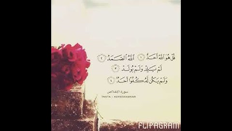 القارئ الشيخ إدريس أبكر سورة الإخلاص