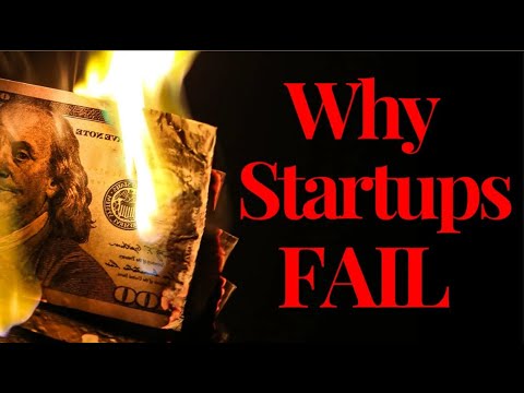 Why Startups Fail (Harvard Research) - YouTube