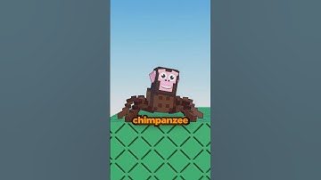 New Brainrot Redesigns in Roblox Steal A Brainrot! #roblox