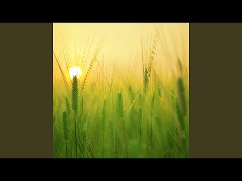 Obejrzyj 抒情的歌谣 (八音盒自愈) w YouTube