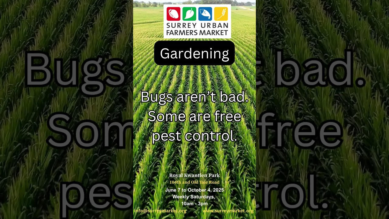 Surrey Urban Farmers Market🔗 Follow us for more locally inspired vibes! 