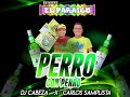 El perro con perro  guarapo  anima dj cabeza