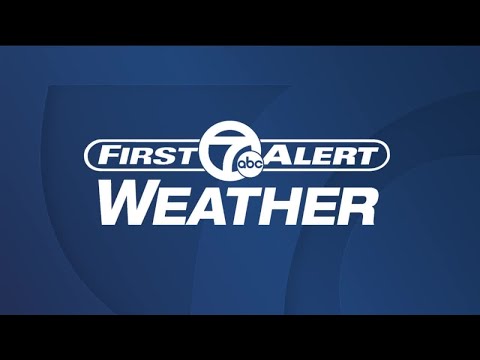 Wxyz Hally Vogel 01