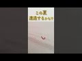 【知らないとパニック⁉】夏キャンプの大敵。アウトドアでヤマヒルから身を守る方法 #shorts