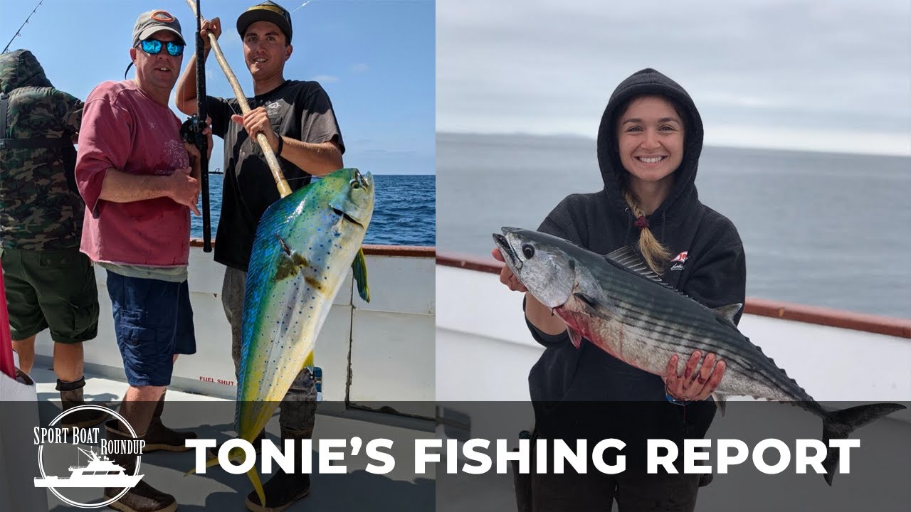 San Diego FISHING REPORT // Sportboat Roundup 07/21/22 