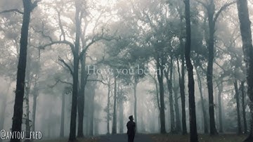 Rex [Intro] - Rex Orange County (lyrics video)