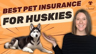 Stop Overpaying! The Best Pet Insurance Plans for Huskies Picked by an Expert
